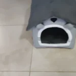 Cozy Folding Pet Houses for Small & Medium Dogs & Cats photo review