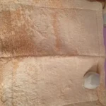 Cozy Folding Pet Houses for Small & Medium Dogs & Cats photo review