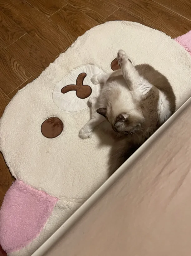 Vibrant Animal Print Polyester Blanket for Home & Travel photo review