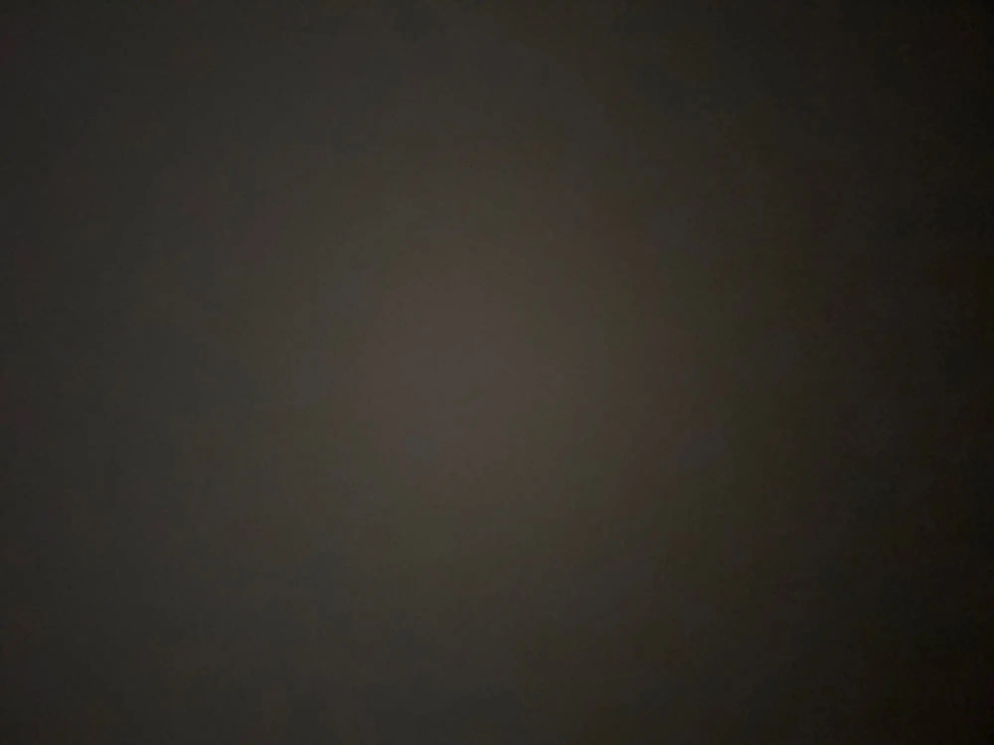 Revitalize Your Shower: ALTHY Spa Shower Head with Filter photo review