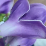 Elegant 52 Cm Jade Hairpin Flower for Luxe Home Decor photo review