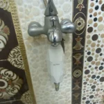 Transform Your Shower: ALTHY Vitamin C Water Filter photo review