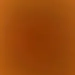 Revitalize Your Shower: ALTHY Spa Shower Head with Filter photo review