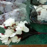 Elegant Magnolia Silk Flower Set - 5 Forks, 20 Heads for Home Decor photo review