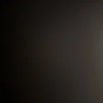 Revitalize Your Shower: ALTHY Spa Shower Head with Filter photo review