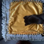 Luxurious Velvet Cushion Covers for Stylish Home Decor photo review