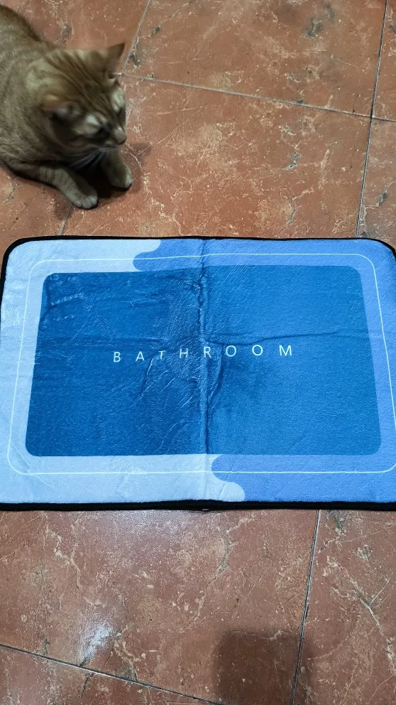 Quick-Dry Non-Slip Bath Mat for Ultimate Comfort & Safety photo review