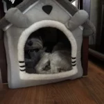 Cozy Folding Pet Houses for Small & Medium Dogs & Cats photo review