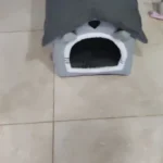 Cozy Folding Pet Houses for Small & Medium Dogs & Cats photo review