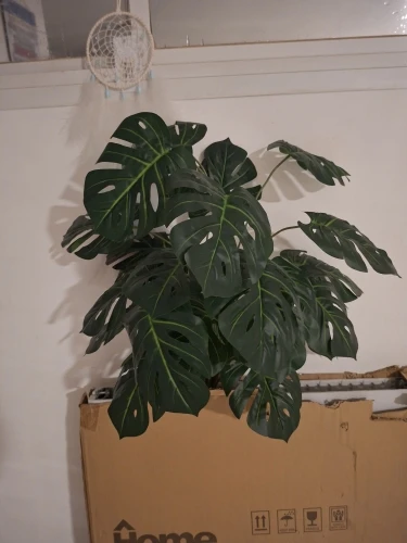 Lifelike 60-103 cm Faux Monstera & Pothos for Any Space photo review