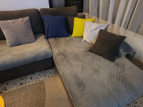 Luxurious Non-Slip Velvet Sofa Cover - Pet & Kid Protector photo review