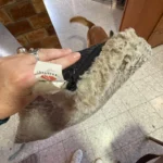 Orthopedic 3 D Foam Dog Bed with Washable Cover & Anti-Slip Base photo review