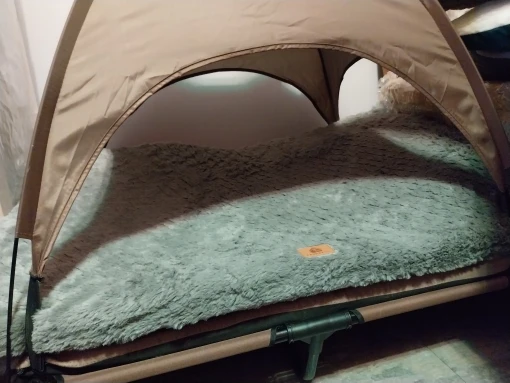 Orthopedic 3 D Foam Dog Bed with Washable Cover & Anti-Slip Base photo review