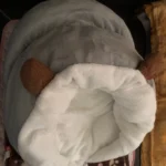 Cozy Plush Dog Bed Sofa for Small & Medium Pets - Machine Washable photo review