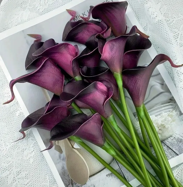 Elegant 5 PCS Calla Lily Faux Flowers for Timeless Decor photo review
