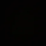 VIKAMA Custom Polyester Carpet - Durable & Easy Care Design photo review