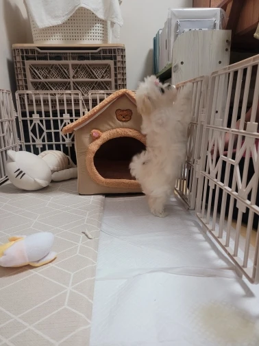 Cozy Folding Pet Houses for Small & Medium Dogs & Cats photo review