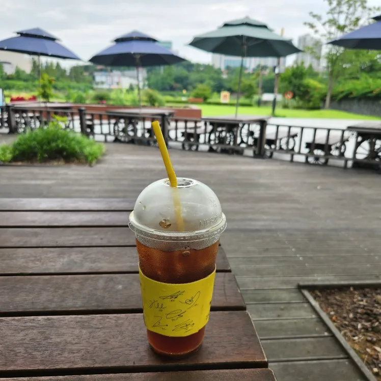 Ultra-Soft Cotton Face Towels - Quick-Dry & Non-Shedding Duo photo review