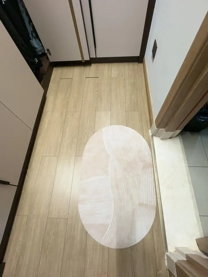 Luxurious Diatom Mud Bath Mat - Quick-Dry Non-Slip Rug photo review