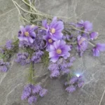 Elegant White Chamomiles Silk Flower - 60 cm Daisy Décor photo review