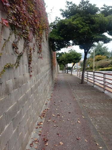 1080° Rotating Water Purification Filter Plastic Faucet Mechanical Arm Spray Head Kitchen Washbasin Extension Tap Aerator Univer photo review