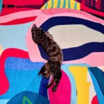 Fluffy Modern Polyester Rug: Custom, Non-Slip, Safe & Washable! photo review