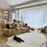 Light Luxury Striped Living Room Rug - Soft Washable Polyester photo review