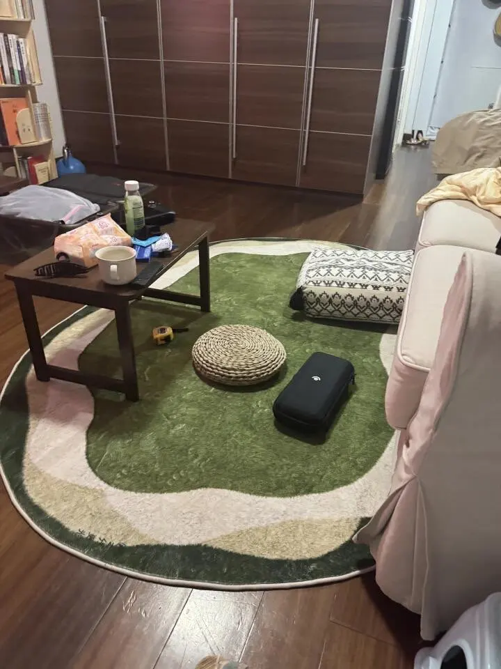 Soft Minimalist Geometric Rug - Modern Polyester Comfort photo review