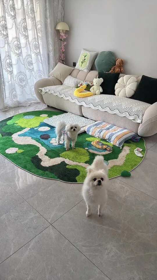 Soft Minimalist Geometric Rug - Modern Polyester Comfort photo review