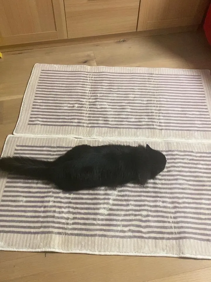 Soft Fluffy Bedside Mat – Minimalist Striped Serene Comfort photo review