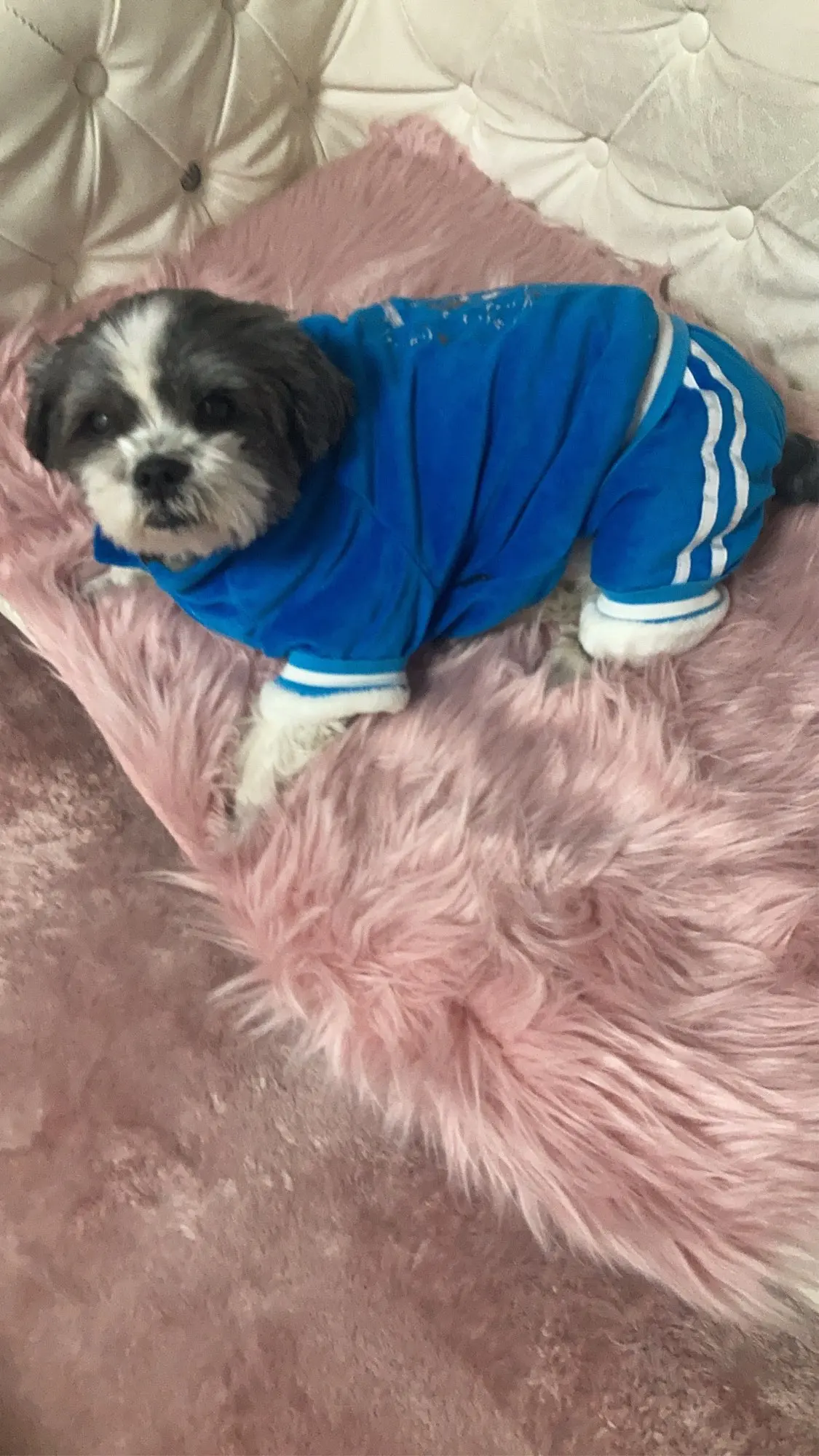 Plush Faux Fur Rug: Elevate Comfort & Style Effortlessly photo review