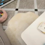 Light Luxury Striped Living Room Rug - Soft Washable Polyester photo review