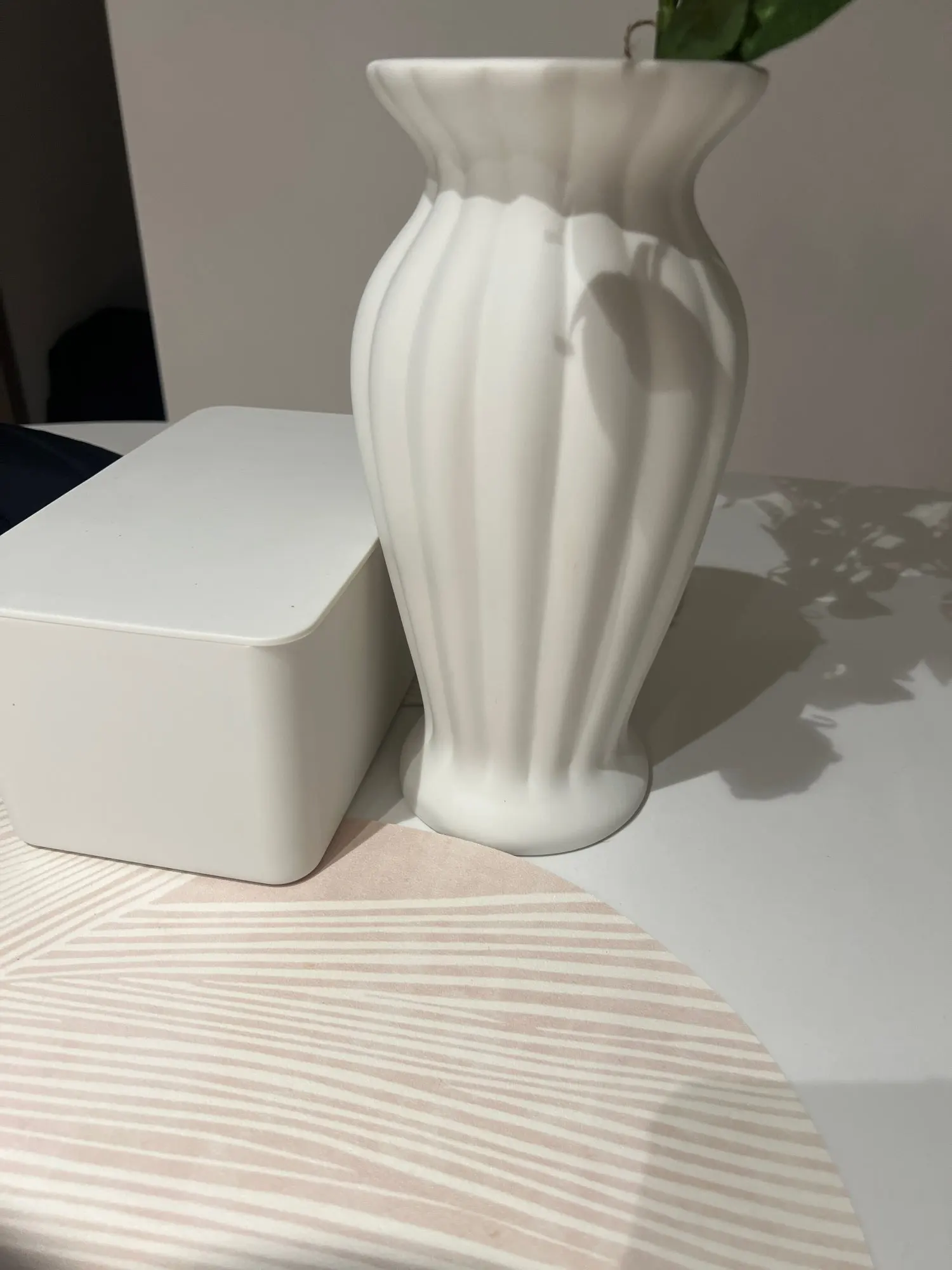 Nordic White Cerc Vase: Minimalist Elegance for Dried Flowers photo review