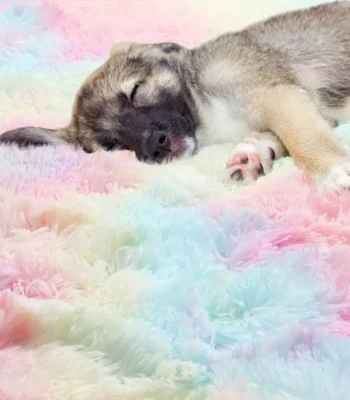 &Bull; Kf S6E72F65A0E31459Abbced35E1496Ab165 &Bull; Oasin