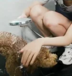 Ozonated Water Device for Pets Shower Hydrobath Ozonator For Dog Shower TWO002V - Image 5