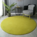 Elevate Your Home: Soft Round Coral Velvet Carpet, Anti-Slip, Washable - Image 3