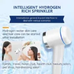 Anti-aging Hydrogen Enriched Water Showerhead Bath Shower Faucets Showers PSE/PEM Molecular Hydrogen Shower Head Filter - Image 2