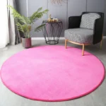 Elevate Your Home: Soft Round Coral Velvet Carpet, Anti-Slip, Washable - Image 6