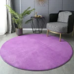 Elevate Your Home: Soft Round Coral Velvet Carpet, Anti-Slip, Washable - Image 2