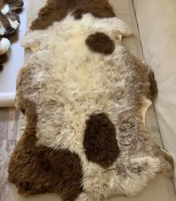 &Bull; Kf Sf2479Aaebb8E4F369D843C4024D2A153D &Bull; Oasin