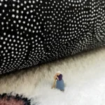 Luxurious Soft Animal Mat: Washable, Anti-Slip Home Decor - Image 6